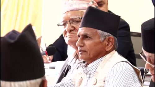 प्रमुख सचेतक पाण्डेको प्रश्नः नागरिकता ऐनमा सेरोगेसीको विषय कसरी समेटिन्छ ?
