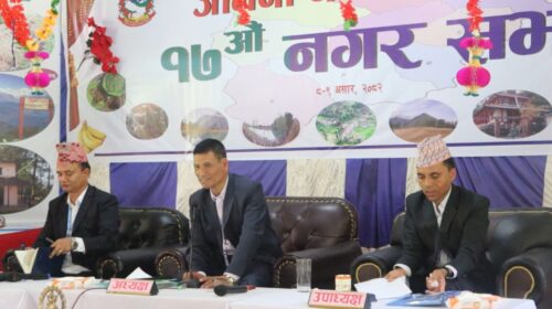 बाँदर आतंक न्युनिकरण गर्न जैमिनीले ‘बाँदर बगैचा’ बनाउने