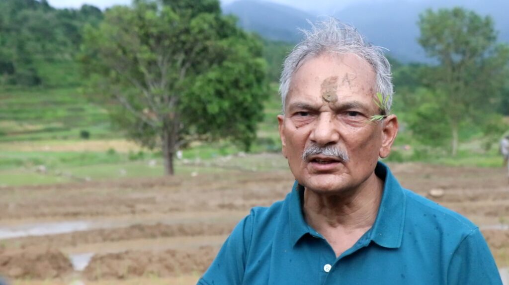 धान दिवसमा डा. भट्टराईको सक्रियताः युवालाई आधुनिक खेतीमा लगाऔँ