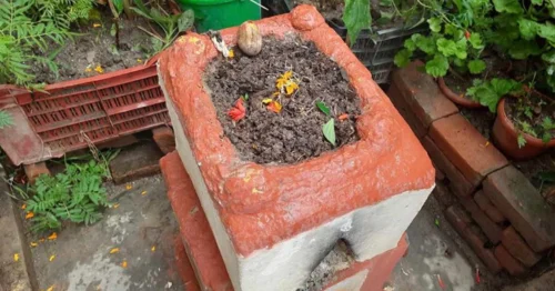 आज निर्जला एकादशी, तुलसीको दल (बिउ) राख्ने दिन