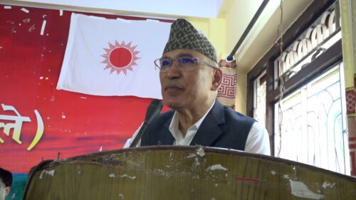 पूर्वराष्ट्रपति भण्डारीलाई विष्णुप्रसाद पौडेलेको सुझाव : ‘सिंगो राष्ट्रकै अभिभावक भएर बस्नुस्’