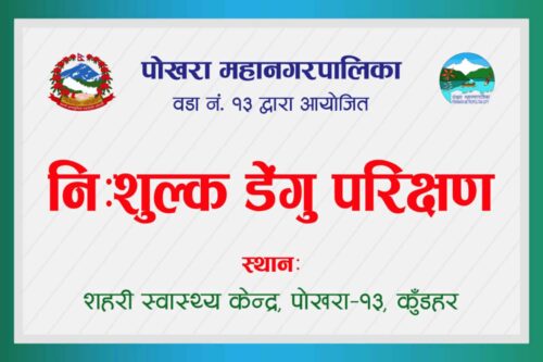 पोखरा–१३ मा निशुल्क डेंगु परीक्षण