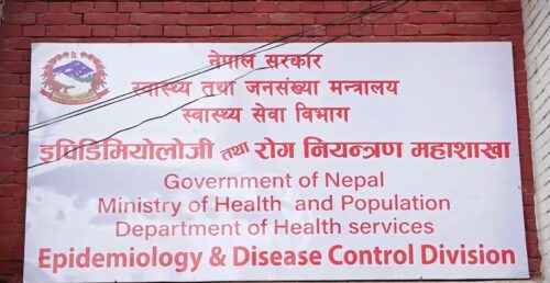यो वर्ष ६० हजारभन्दा बढीमा डेंगु संक्रमण हुनसक्ने आँकलन