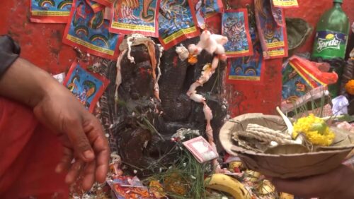 आज नागपञ्चमी : नागको पूजाअर्चना गरी मनाइँदै