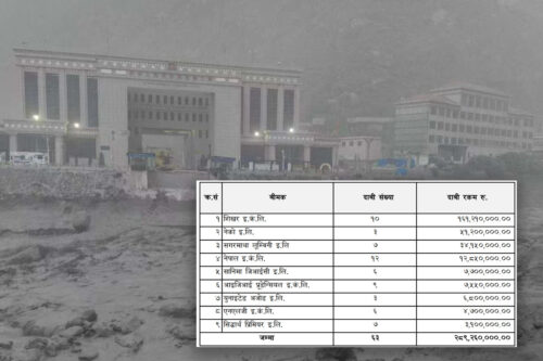 रसुवा बाढीपहिरोः करिब २९ करोडको बीमा दाबी