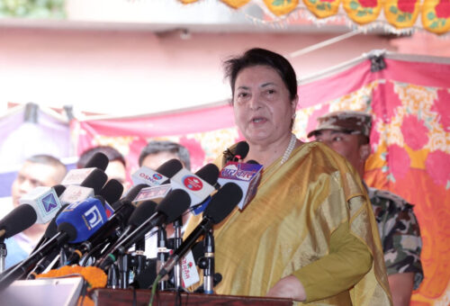 राजनीतिक दलहरुभित्र विकृति, विसंगति फस्टायोः पूर्वराष्ट्रपति भण्डारी