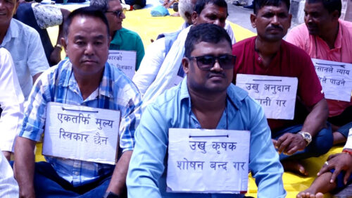 उखु किसान अनुदान माग्दै दोस्रो दिन पनि सडकमा