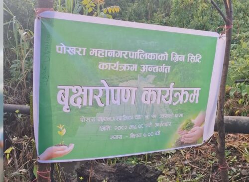 पोखरा ग्रेट ट्रेलमा ४०० फलफूलका बृक्षारोपण