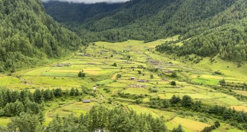 ओझेलमा बागलुङको दिज गाउँ