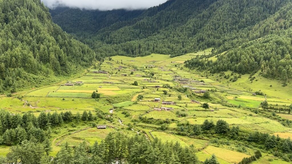 ओझेलमा दिज गाउँ