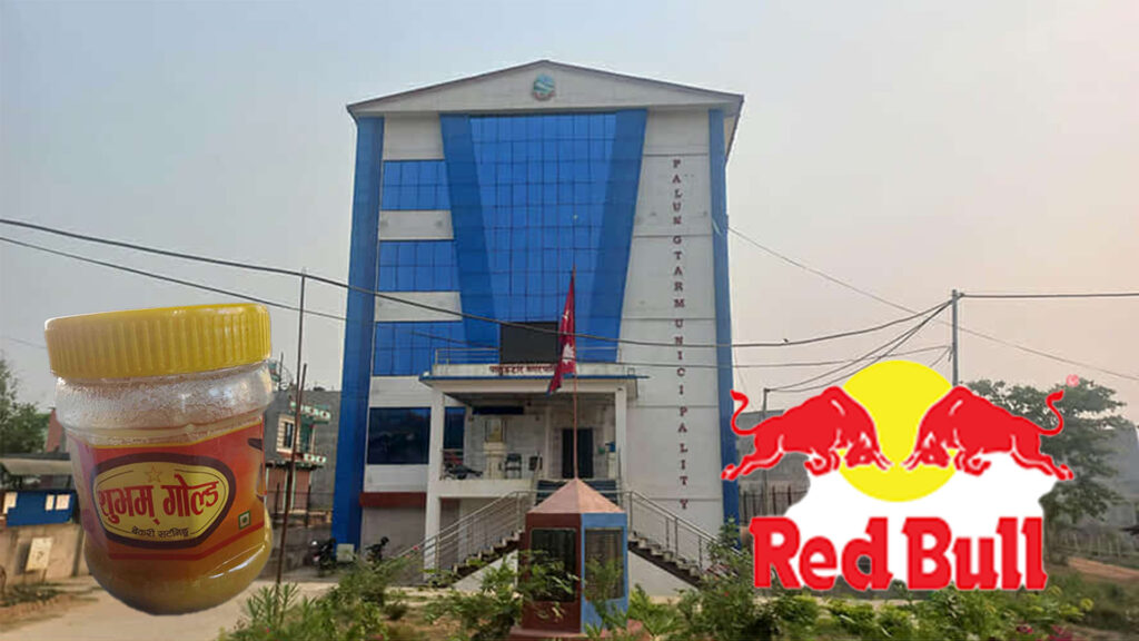 पालुङटारमा ‘रेडबुल’ बिक्रीमा प्रतिबन्ध, नक्कली घिउ नियन्त्रणमा