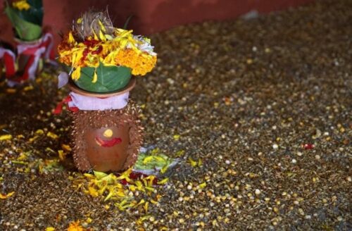 बडादशैं सुरु, घरघरमा विधिपूर्वक घटस्थापना गरि जमरा राखिँदै