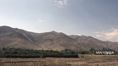 खडेरीसँग लड्दै अफगानी किसान