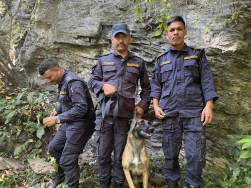 ‘ज्याक’ ले भेटायो हराएकी ९५ बर्षिया बृद्धाको शब