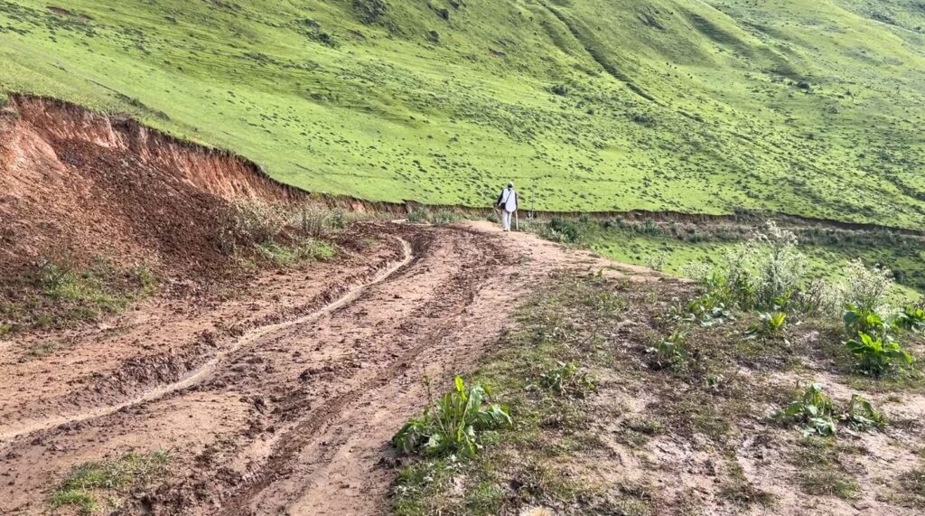 विकट निसेलढोर जोड्ने सडक स्तरोन्नति गरिँदै