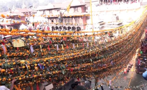 आज हरिबोधिनी एकादशी, तुलसीको दामोदरसँग विवाह गरि मनाईंदै