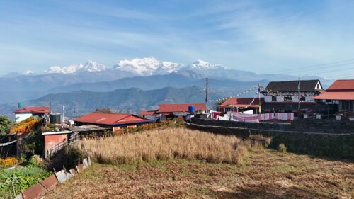 हिमालको काखमा सुनौलो बिहान : राइनासकोटमा बढ्दै पर्यटक