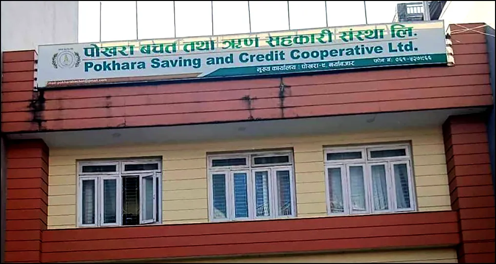 पोखरा बचत तथा ऋण सहकारी ठगी प्रकरणः रकम फिर्ता गर्ने शर्तमा प्रतिवादीहरु रिहा