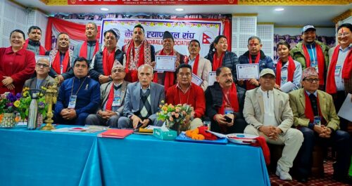 नेपाल ह्याण्डबल संघ अध्यक्षमा तिमिल्सिना, महासचिवमा पाठक