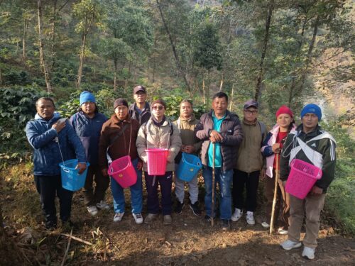 ३० वर्ष बाझिएको धानखेतमा सामुहिक कफी खेती