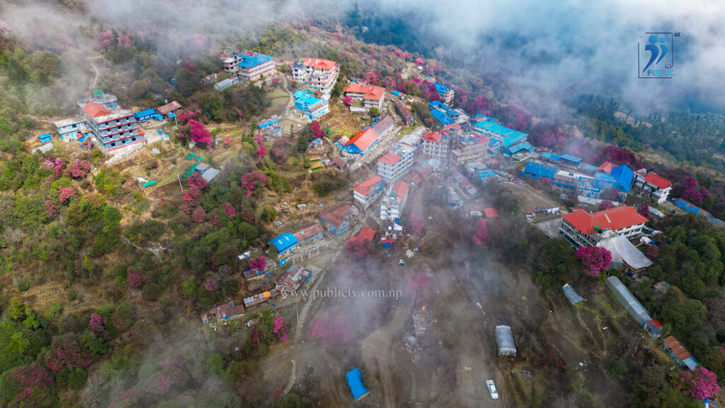 गुराँसले सिंगारियो घोडेपानी (तस्बिरहरु)