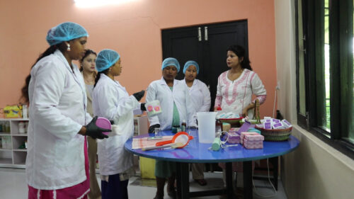 सीप र बजारसँग जोडिँदा रत्ननगरका सीमान्तकृत महिला आत्मनिर्भर बन्दै