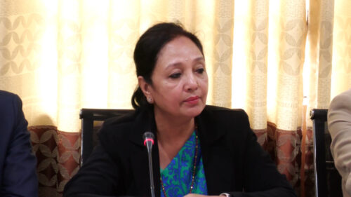 मानव अधिकार आयोगका सिफारिस कार्यान्वयन नगर्नु राज्यतर्फबाट भएको मानव अधिकार हननः लिली थापा