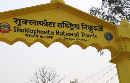 च्याउ टिप्न जाँदा सम्पर्कविहीन भएका १४ महिला सम्पर्कमा आए