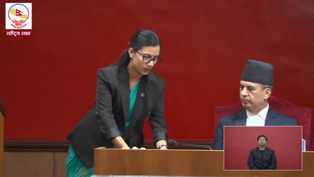 नेपाल विशेष सेवा ऐन जगाउने विधेयक दफावार छलफलका लागि विधायन समितिमा पठाइयो