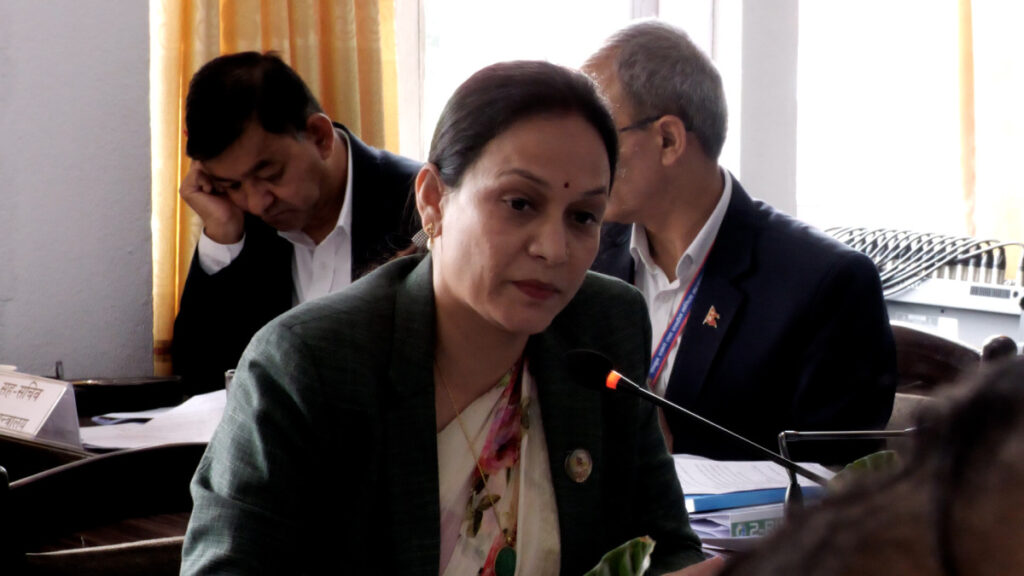 गभर्नरको तीन वर्षे कार्यकालपछि दुई वर्ष थप गर्न सकिने व्यवस्था उपयुक्तः रास्वपा सांसद भण्डारी